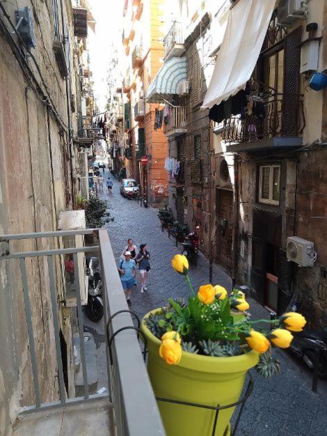 La Conchiglia Napoli Διαμέρισμα Εξωτερικό φωτογραφία