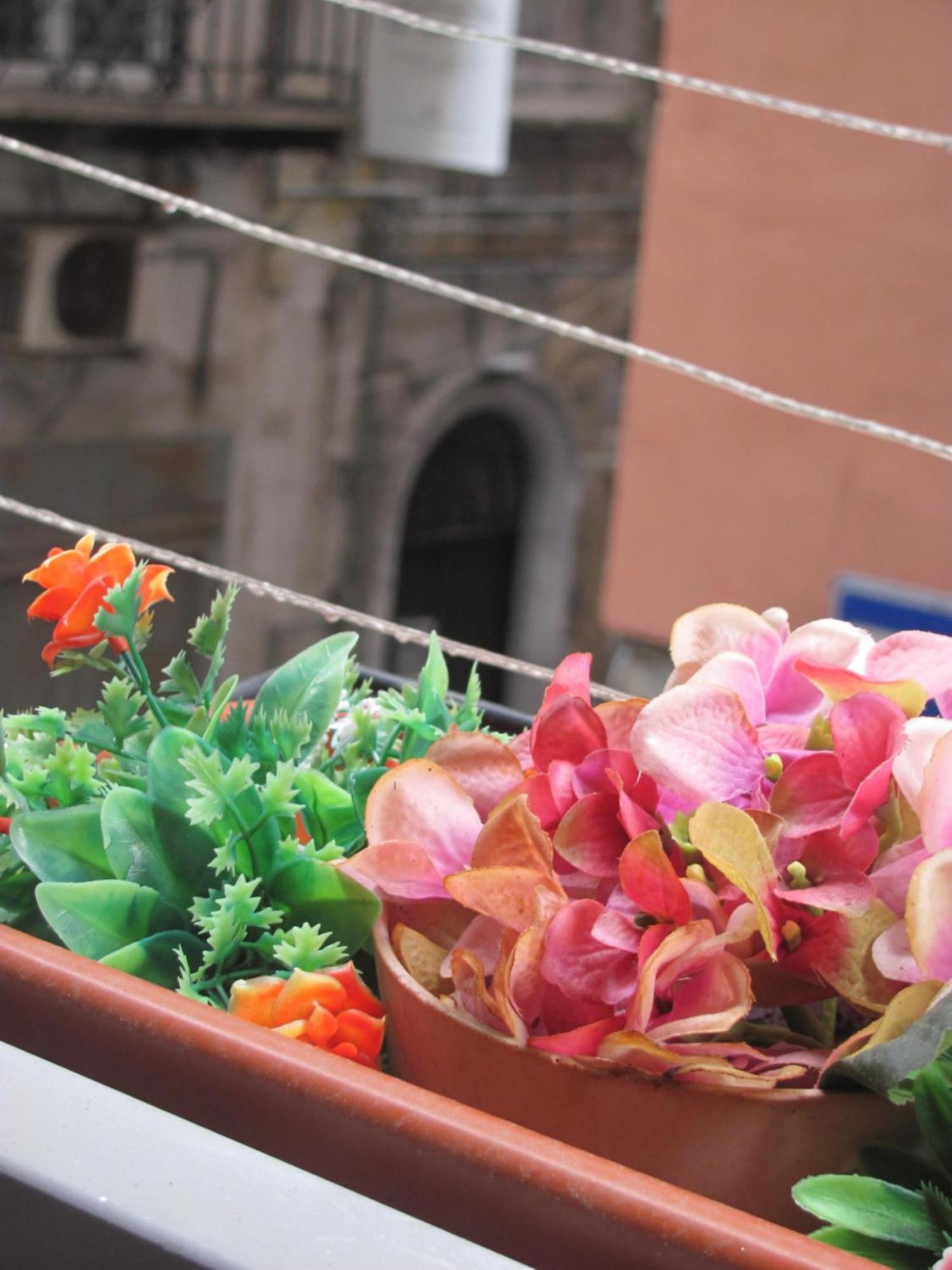 La Conchiglia Napoli Διαμέρισμα Εξωτερικό φωτογραφία